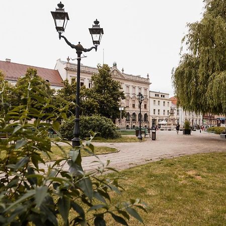 Cathedral Apartment Щецин Экстерьер фото